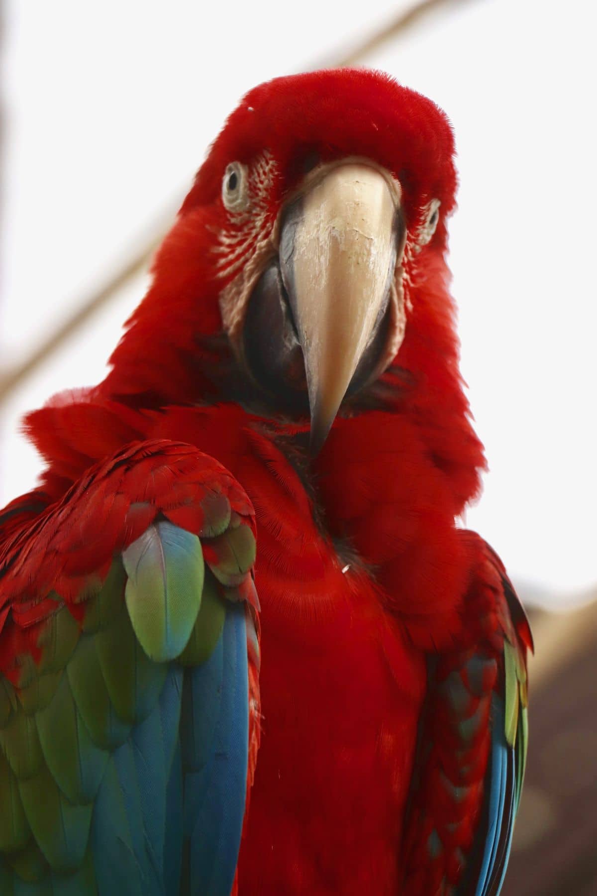 Wakacje na Bali – zdjęcie 1