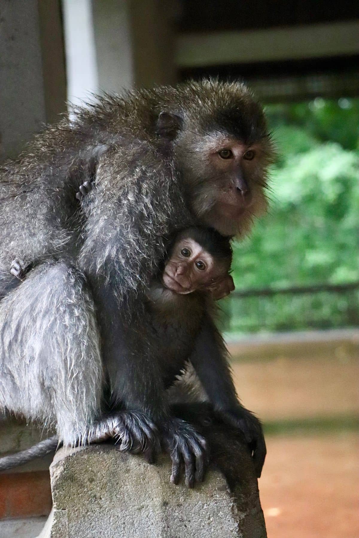 Wakacje na Bali – zdjęcie 3