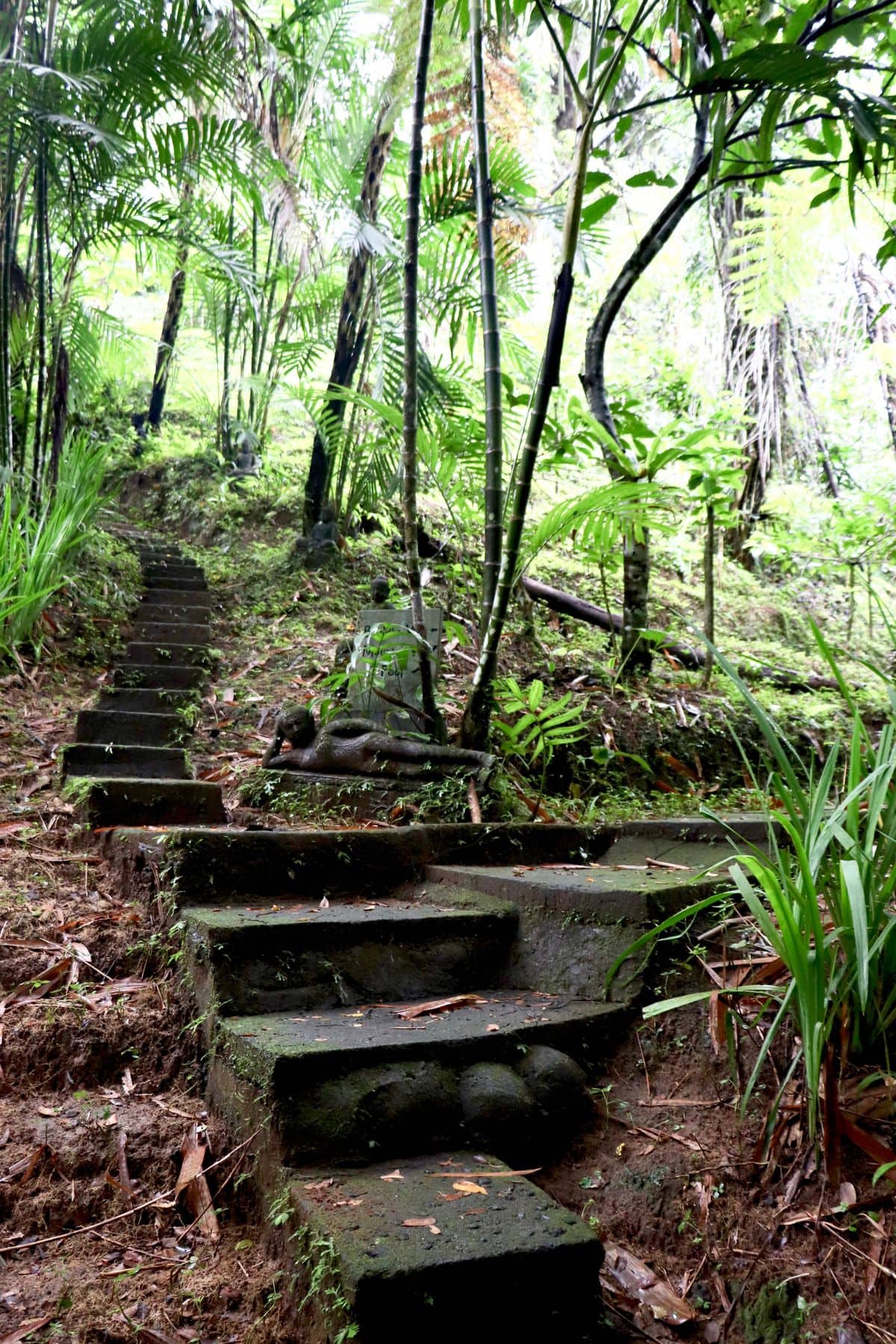 Wakacje na Bali – zdjęcie 1