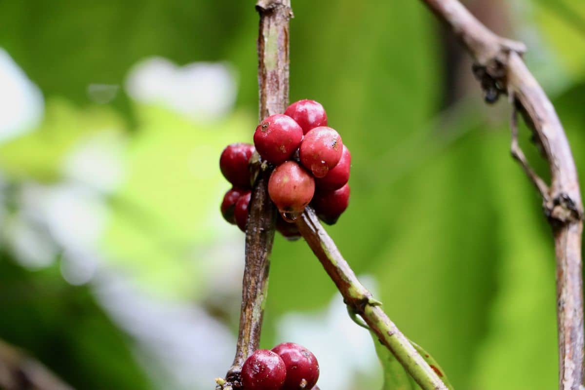 Wakacje na Bali – zdjęcie 2