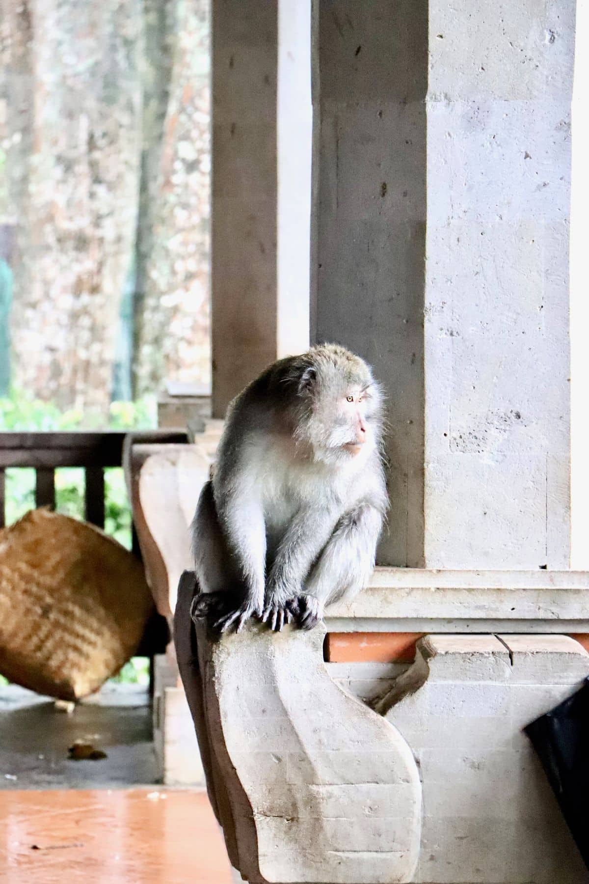 Wakacje na Bali – zdjęcie 2