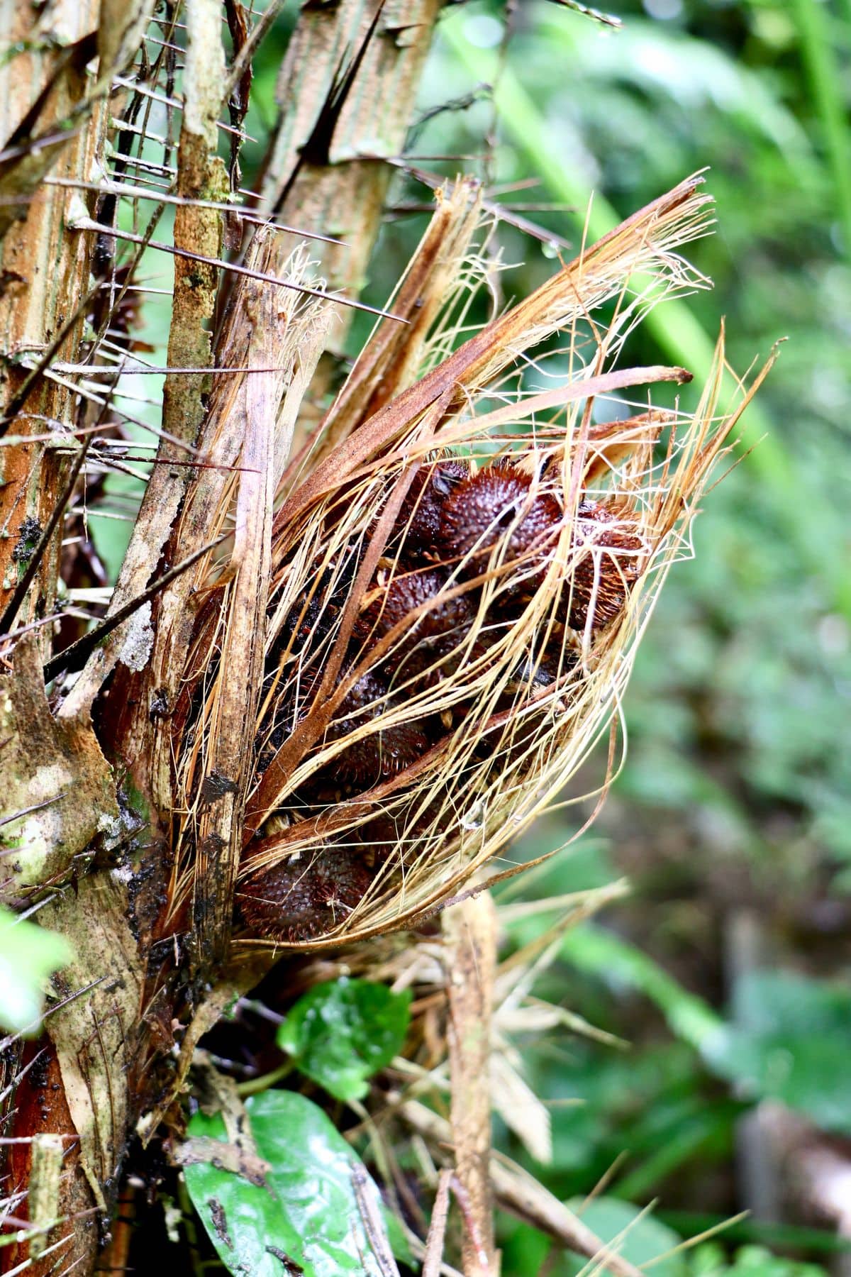 Wakacje na Bali – zdjęcie 1