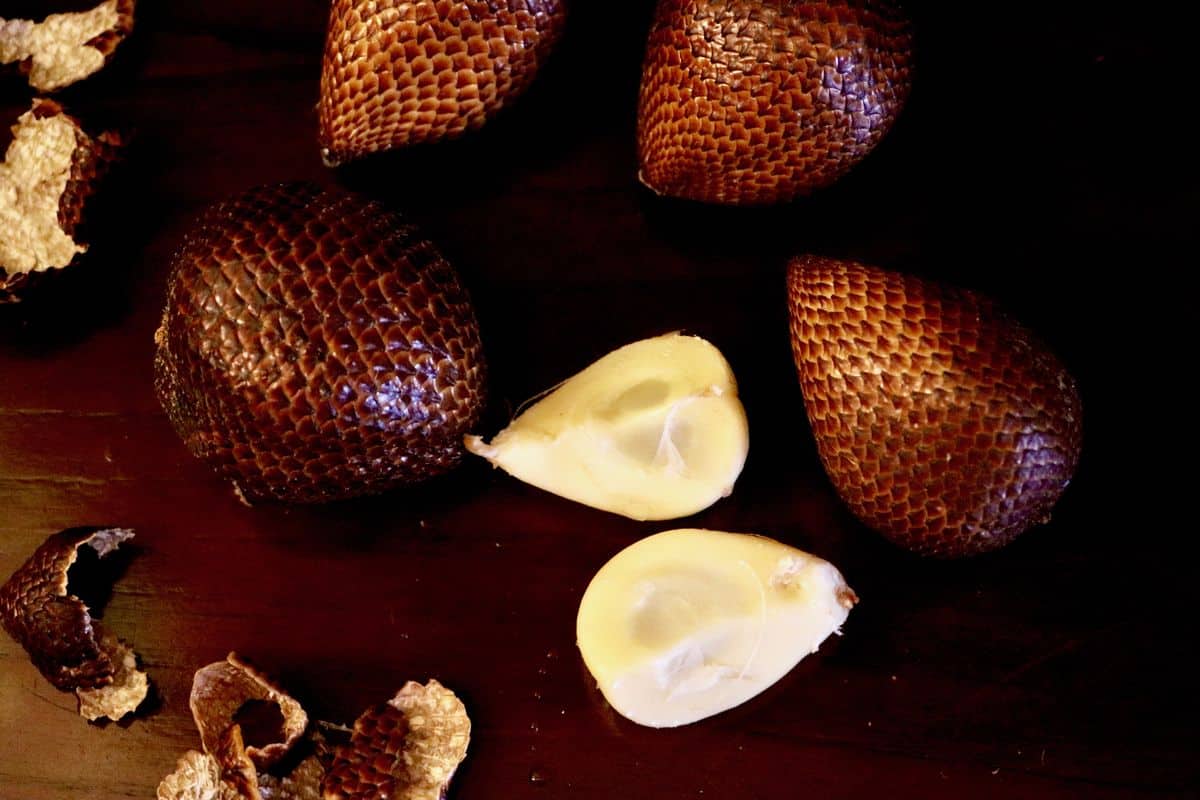 Wakacje na Bali – zdjęcie 1