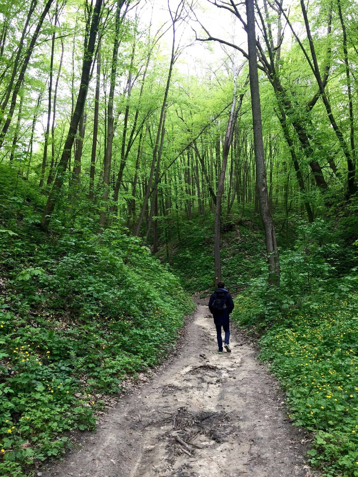 Weekend z naturą – zdjęcie 1