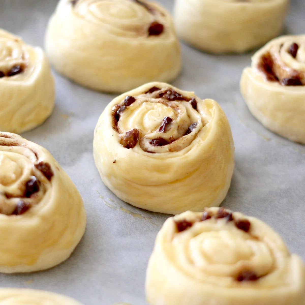 Papatacze – zdjęcie 1