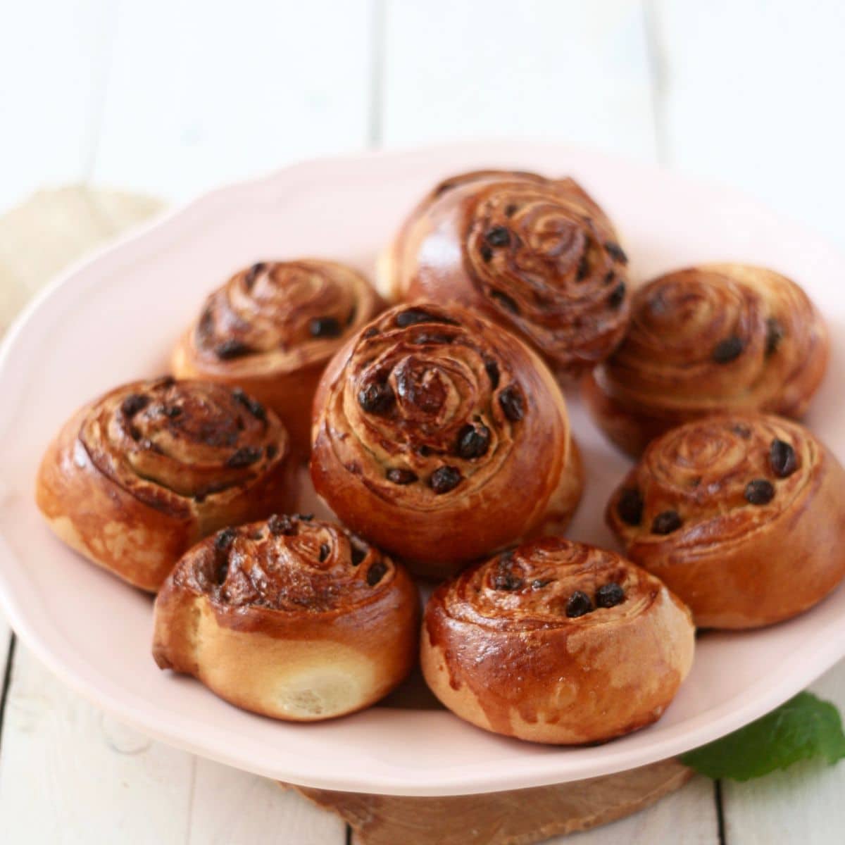 Papatacze – zdjęcie 3