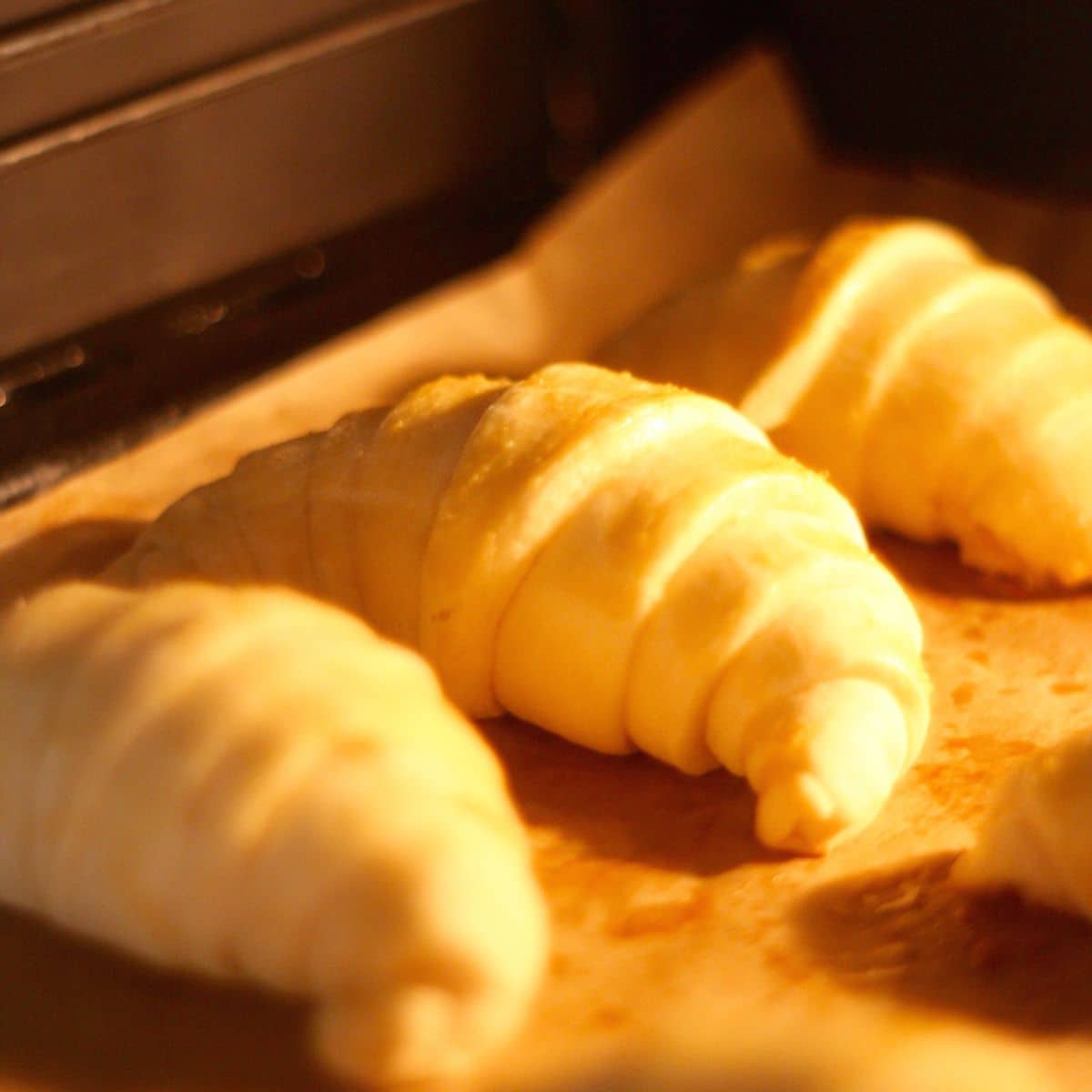 Rogale kruche – zdjęcie 2