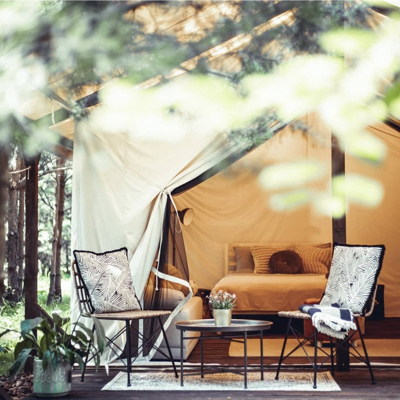 Boho Park Glamping