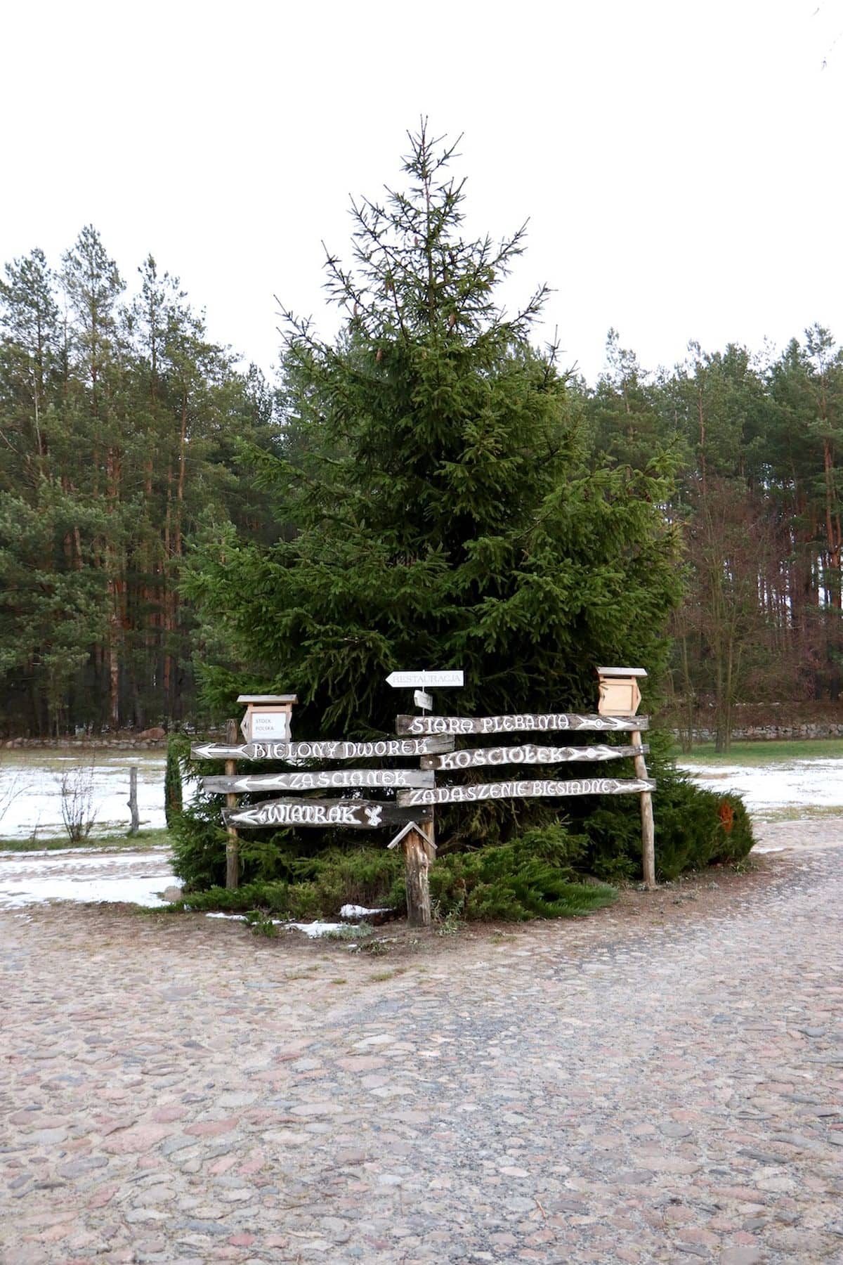Wakacje na Podlasiu: Uroczysko Zaborek – zdjęcie 3