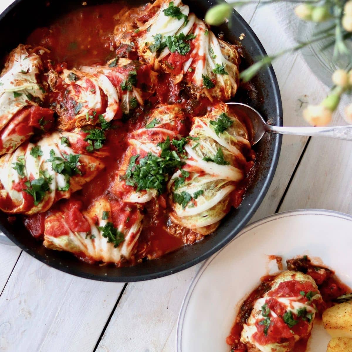 Gołąbki wegetariańskie